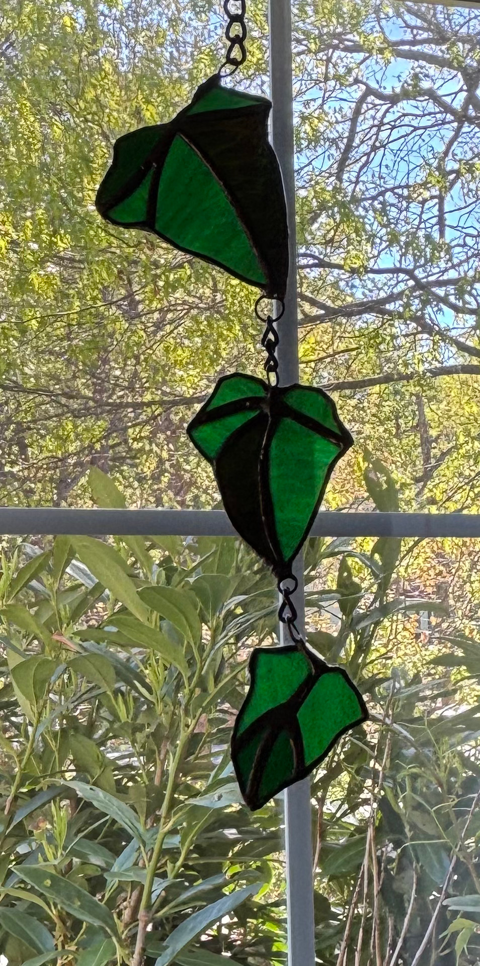 Ivy Triplet